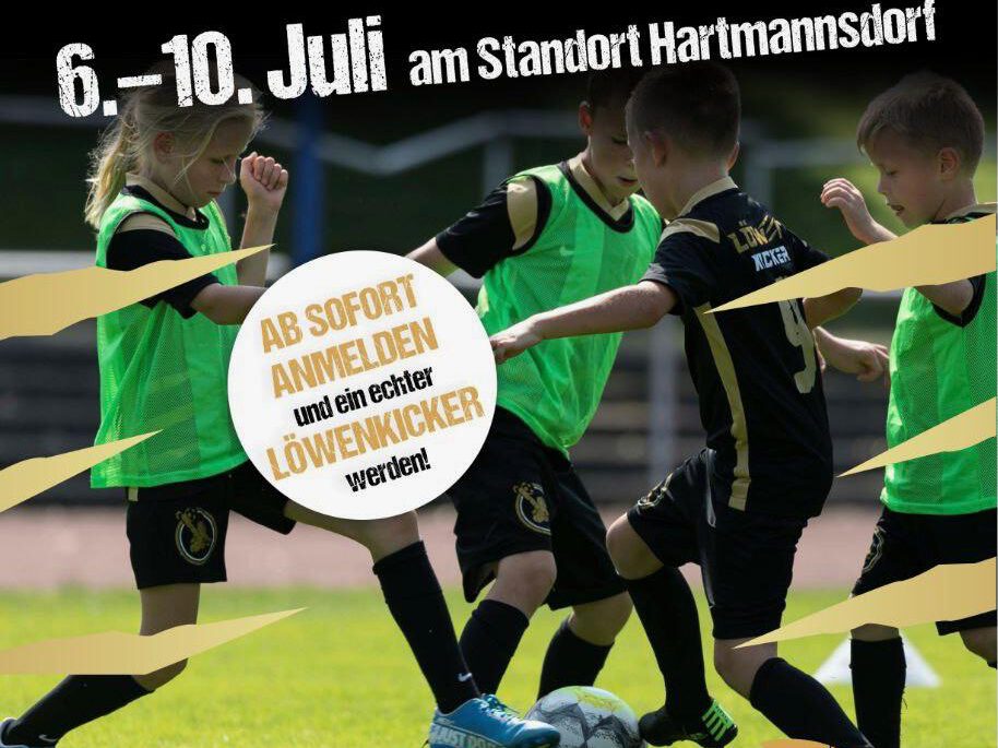 Flyer Sommercamp Löwenrevier